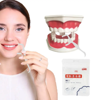 Vente en gros de cure-dents écologiques personnalisés, fil dentaire en soie de qualité alimentaire, bâtonnets de soins bucco-dentaires, cure-dents à fil dentaire pour le nettoyage des dents
