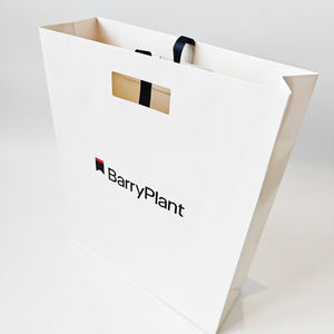 Sacs en papier personnalisés de qualité supérieure, sacs cadeaux de luxe pour bijoux, sacs de shopping avec ruban et logo privé imprimé, en carton - Product Image 5