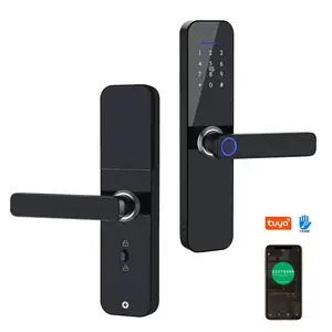 Serrature per cancelli intelligenti Tuya TTlock WiFi Fingerprint Smart Door Locks