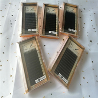 Ekstensi Bulu Mata Natural Eyelash Cashmere Ellipse Flat Lash Merek Sendiri Harga Grosir Ekstensi Bulu Mata
