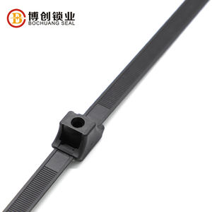 Venta caliente China Factory <span class=keywords><strong>Pull</strong></span> <span class=keywords><strong>Tight</strong></span> Double <span class=keywords><strong>Lock</strong></span> Nylon <span class=keywords><strong>Cable</strong></span> Tie Sello de plástico - Product Image 6