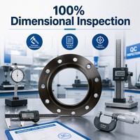 Bride à enfiler RF en acier inoxydable ASTM A182 F304 304L, classe 150 300 600, ASME B16.47, trempée, DN200 DN300 DN400 DN500