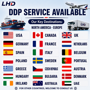 Seefracht-Service von China in die USA Fracht DDP und Professionelle Logistik Direkte Schnelle Tür-zu-Tür-Konsolidierung Lagerung - Product Image 2