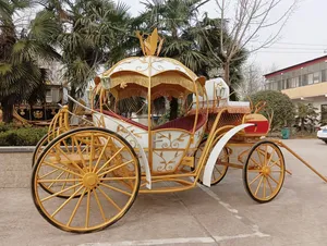 Buggy <span class=keywords><strong>de</strong></span> la Cenicienta <span class=keywords><strong>de</strong></span> la <span class=keywords><strong>Princesa</strong></span> Real, coche <span class=keywords><strong>de</strong></span> caballo <span class=keywords><strong>de</strong></span> la Cenicienta, <span class=keywords><strong>de</strong></span> boda, color blanco - Product Image 5