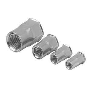 A286 904L <span class=keywords><strong>1.4410</strong></span> đôi <span class=keywords><strong>Hex</strong></span> chìm Đầu phẳng đinh tán <span class=keywords><strong>Nut</strong></span> M8 M10 siêu Duplex thép không gỉ passivate đánh bóng SS 2205 2507 - Product Image 2