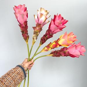 Flores de Jengibre Artificiales de Látex de Tacto Real al por Mayor para Decoración de Interiores - Product Image 1