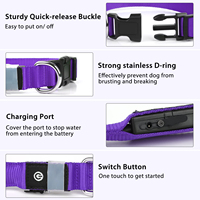 Étanche USB Rechargeable Changement de Couleur Collier Chien Clignotant Glow In Dark Light up Led Collier de Chien pour la Marche de Nuit