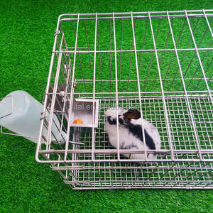 Laboratorio in acciaio inossidabile grandi gabbie per allevamento di conigli commerciali - Product Image 2