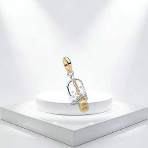 Nouveauté 2026 : Breloques et pendentifs en argent 925, motifs Coccinelle, Hibou, Abeille, Tortue, Crayon, <span class=keywords><strong>Clé</strong></span> bicolore, pour bijoux DIY exquis - Product Image 5
