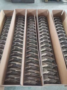 Hochwertige Maßgefertigte Verzinkte Wandspikes, Kletter- und Diebstahlschutz, Rasierklingenspikes für <span class=keywords><strong>Nektarine</strong></span>-, Gelber-Pfirsich- und Kirschpflanzenschutz - Product Image 6