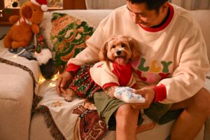 Vestido Navideño Festivo para Mascotas, Conjunto <span class=keywords><strong>Familiar</strong></span> a Juego, Sudadera Suave y Falda de Capas a Cuadros, Ropa para Perros y Gatos - Product Image 3
