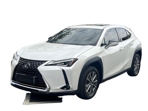 Lexus UX 300e Pure Electric Joy Edition Usata - Product Image 1