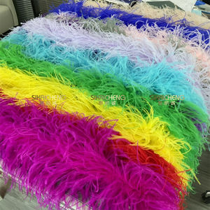 ขนนกกระจอกเทศ1-30ply ตัดขอบบนสายสีรุ้งขนนกงูเหลือม - Product Image 2