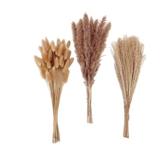 Petit bouquet de fleurs séchées, herbe de la queue de lapin, herbe de la <span class=keywords><strong>pampa</strong></span>, style bohème écologique, pour usage intérieur, cadeaux d'affaires, fleurs - Product Image 5