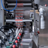 LINPACK Kussenverpakkingsmachine met volautomatische warmteverzegeling voor koekjes en biscuits