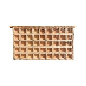 Multi-functional favorite queen bee cage king storage device Bee storage device Beekeeping tools wooden king storage box