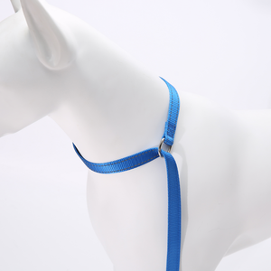 Personnalisé Anti-Vol Réglable En Nylon <span class=keywords><strong>Tressé</strong></span> P Chaîne Slip Dog Show Laisses Réfléchissantes Formation Laisse Animaux Chats Direct Fabricant - Product Image 4