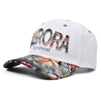 Gorra de Béisbol de Calidad 1.1 OEM ODM de 6 Paneles con Bordado 3D para Mayoristas, Fábrica BSCI, Estilo Streetwear, MOQ Bajo