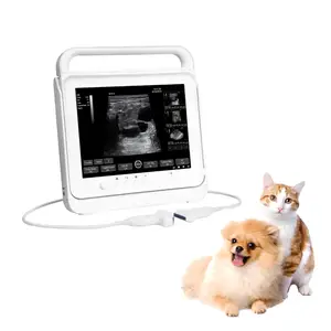 BMV PT50C Peralatan Ultrasound, Layar Sentuh Genggam Portabel Dokter Hewan untuk Anjing Kucing Rumah Sakit Klinis Hewan Peliharaan