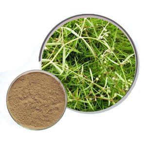 100% tinh khiết tự nhiên hedyotis diffusa chiết xuất/hedyotis diffusa chiết xuất - Product Image 2