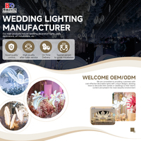 Lanternes lumineuses Bolinda en forme de pivoine, lumières décoratives de mariage, en fer, pétales durables, lumières de guidage de route, décoration de scène, allée