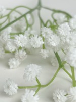 Gypsophile Artificiel en Gros, Souple et Réaliste, 61 cm, 108 Têtes, Longue Durée, pour Décoration Mariage, Maison et Fêtes