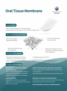 Biosi dentale GTR membrana Sterile collagene foglio osso innesto collagene membrana dentale - Product Image 3