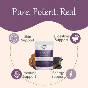 Polvo de Hongo Chaga OEM/ODM, Extracto de Chaga Orgánico para el Bienestar Diario y Apoyo Energético, Suplemento de Hongos de 60 Porciones - Product Image 3