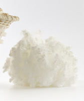 Qualité supérieure Prix raisonnable pour le remplissage d'oreillers Fabricants et fournisseurs de fibres discontinues de polyester HCS Fibre de polyester