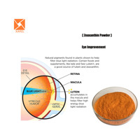 Makanan kesehatan suplemen mata ekstrak bunga Marigold murni bubuk ekstrak Herbal bunga Marigold bubuk Lutein 20%