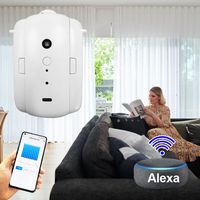 WiFi Smart Home Intelligent Rideau Électrique Robot Android Télécommande OLED Installation Libre de Piste pour Garages Tuya