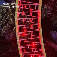 Arco Decorativo LED 2D con Forma de Corazón, Soporte para Fondo de Arco de Boda, Arco de Metal para Fondo, Arco de Entrada Navideño con Forma de Corazón