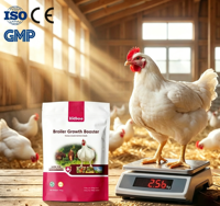 Promoteur de croissance pour poulets de chair, complément alimentaire pour la croissance des volailles, additif alimentaire pré-mélangé en vitamines