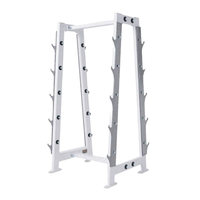 Support vertical commercial pour haltères – Construction métallique stable et durable pour équipement de fitness en salle de sport