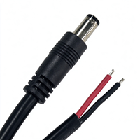 Connecteur d'alimentation mâle DC 5,5*2,1 mm avec fil nu dénudé 18AWG 150CM pour caméra solaire 4G