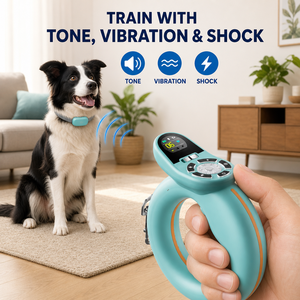 <span class=keywords><strong>Collier</strong></span> <span class=keywords><strong>de</strong></span> <span class=keywords><strong>dressage</strong></span> intelligent rétractable <span class=keywords><strong>2</strong></span>-en-1 anti-traction pour chien, portée <span class=keywords><strong>1000M</strong></span>, rechargeable, pour la correction des animaux <span class=keywords><strong>de</strong></span> compagnie - Product Image 3