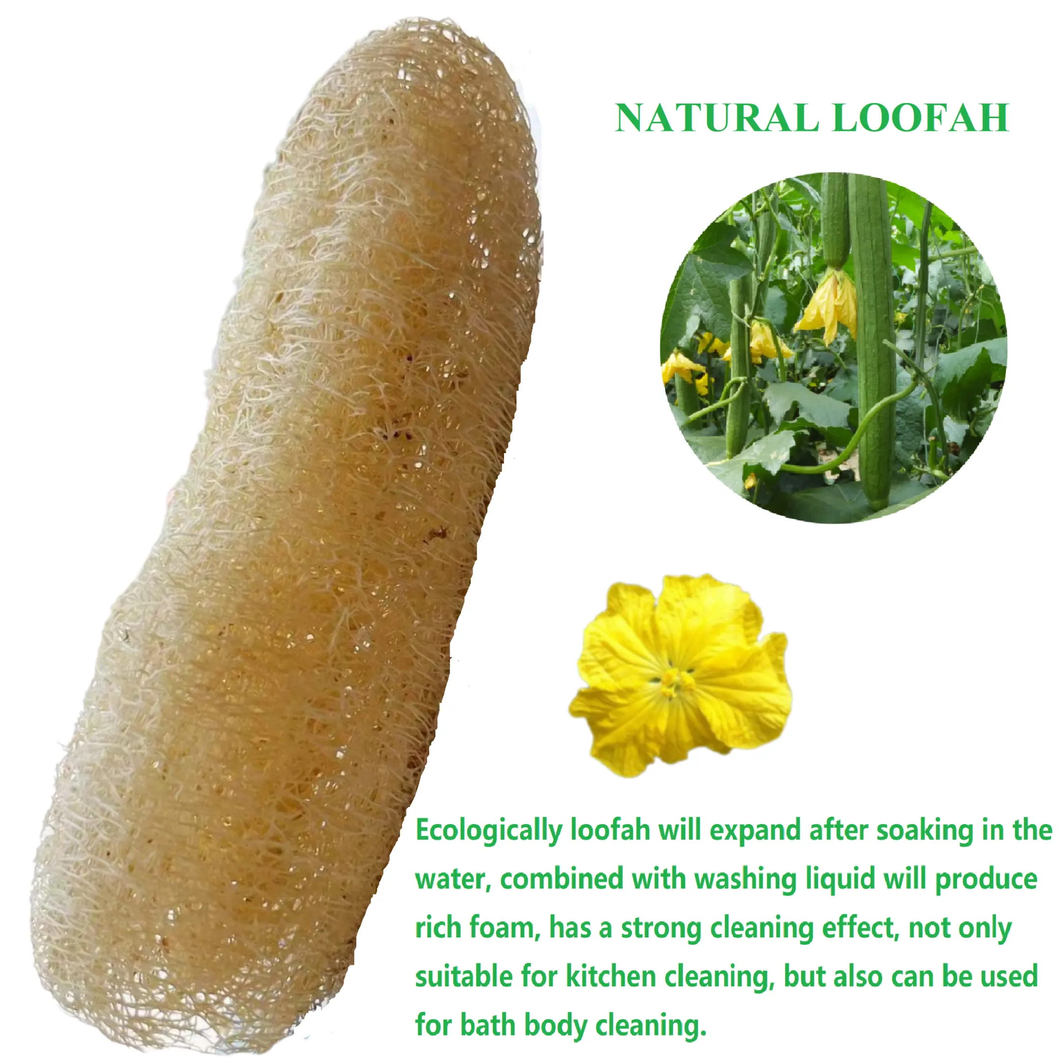 Esponja esfoliante loofah prato natural, esponja de celulose para lavar cozinha vegano
