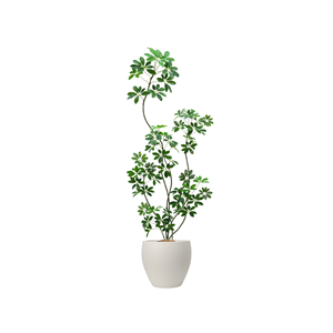 Eco-Friendly Grande Plástico Vasos Clássico Cilindro Berçário Jardim Indoor <span class=keywords><strong>Home</strong></span> <span class=keywords><strong>Decor</strong></span> Flores Plantadores Vasos Flor - Product Image 4