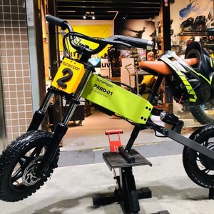 <span class=keywords><strong>Bicicleta</strong></span> para niños, <span class=keywords><strong>bicicleta</strong></span> sin Pedal, juego de titanio para niños, <span class=keywords><strong>bicicleta</strong></span> eléctrica de acero personalizada para niños - Product Image 5