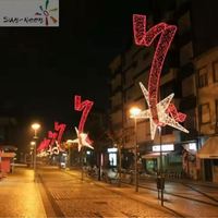 Personalizable grande al aire libre impermeable LED 2D motivo luces festivas decoración calle postes parques Navidad Año Nuevo Halloween