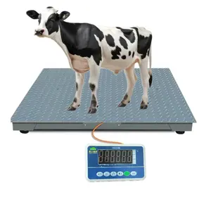 SCS电子平台秤可用于农场，用液晶显示仪表称重生猪和奶牛或其他重物