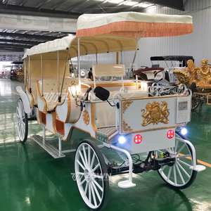 Carruaje Eléctrico Personalizado Directo de Fábrica, Carruaje Turístico Vintage para Parques y Lugares Turísticos - Product Image 1