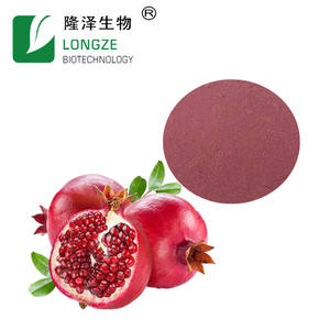 Granaatappelsap Poeder Granaatappel Fruit Poeder - Product Image 4