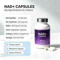 Tout en 1 NAD liposomal + Resvératrol Quercétine Berbérine Fisetin Capsules Supplément NAD Capsules