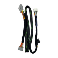 Harnais de câblage pour amplificateur de voiture DSP TK-DSP-BT01, prêt à l'emploi, compatible avec BMW