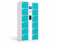 Casier de rangement intelligent à 12 portes pour salle de sport, armoire à serrure électronique avec système de contrôle numérique, casier de rangement métallique personnalisé