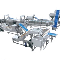 Volledig Automatische Hoog-Efficiënte Friet- en Chipslijn, Fruit- en Groenteschilmachine, 50-5000kg Capaciteit, Multi-Voltage