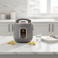 Mini-cuiseur à riz électrique sur mesure 2.1-3.0L pour 2-4 personnes, boîtier en plastique, alliage d'aluminium, 500W, OEM Asie du Sud-Est