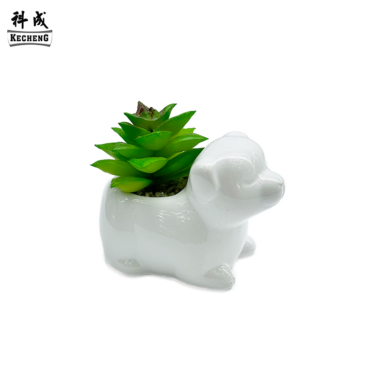 Cucciolo (miscela succulenta)
