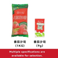 Pâte de sauce tomate trempette de restauration rapide certifiée Halal pour hamburgers frites ketchup de style occidental en sachets en vrac emballage en boîte